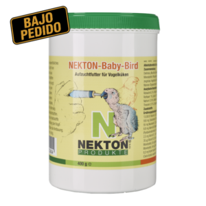 baby bird
