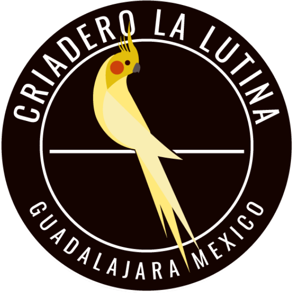 la lutina