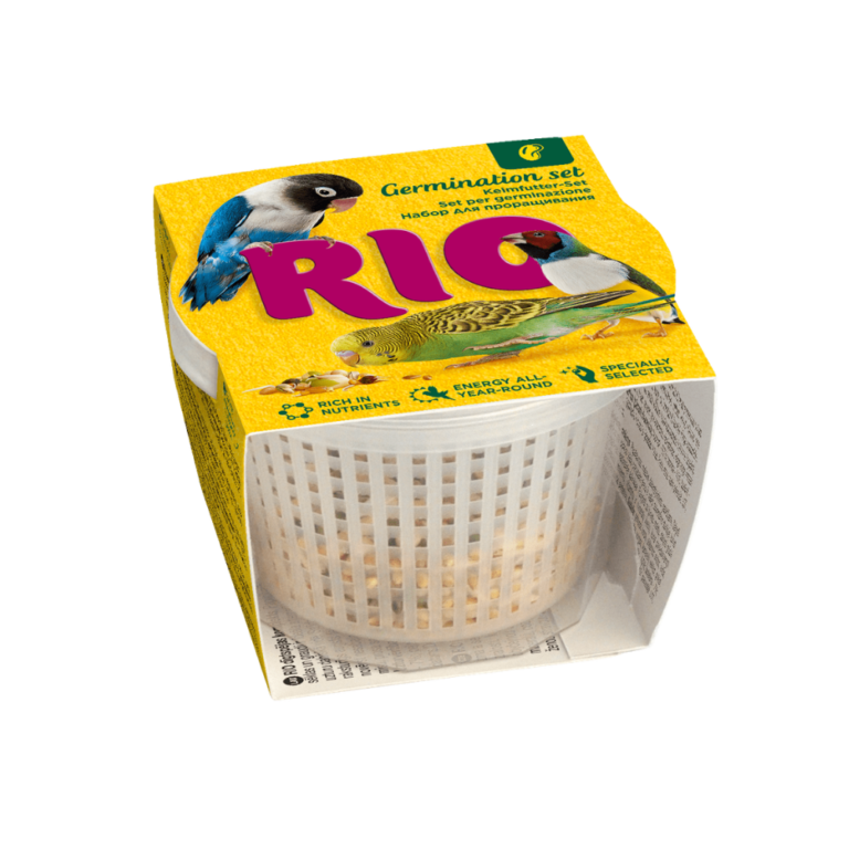 rio kit de germinación