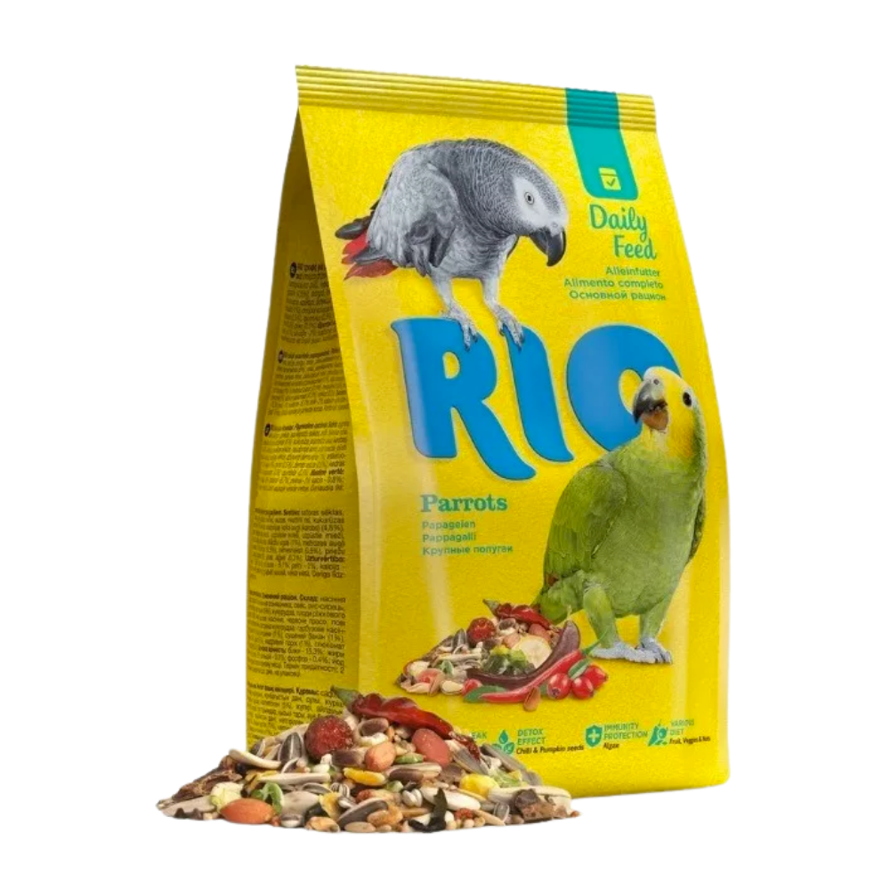 rio parrots rio parrots